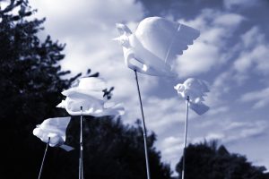 doves-002